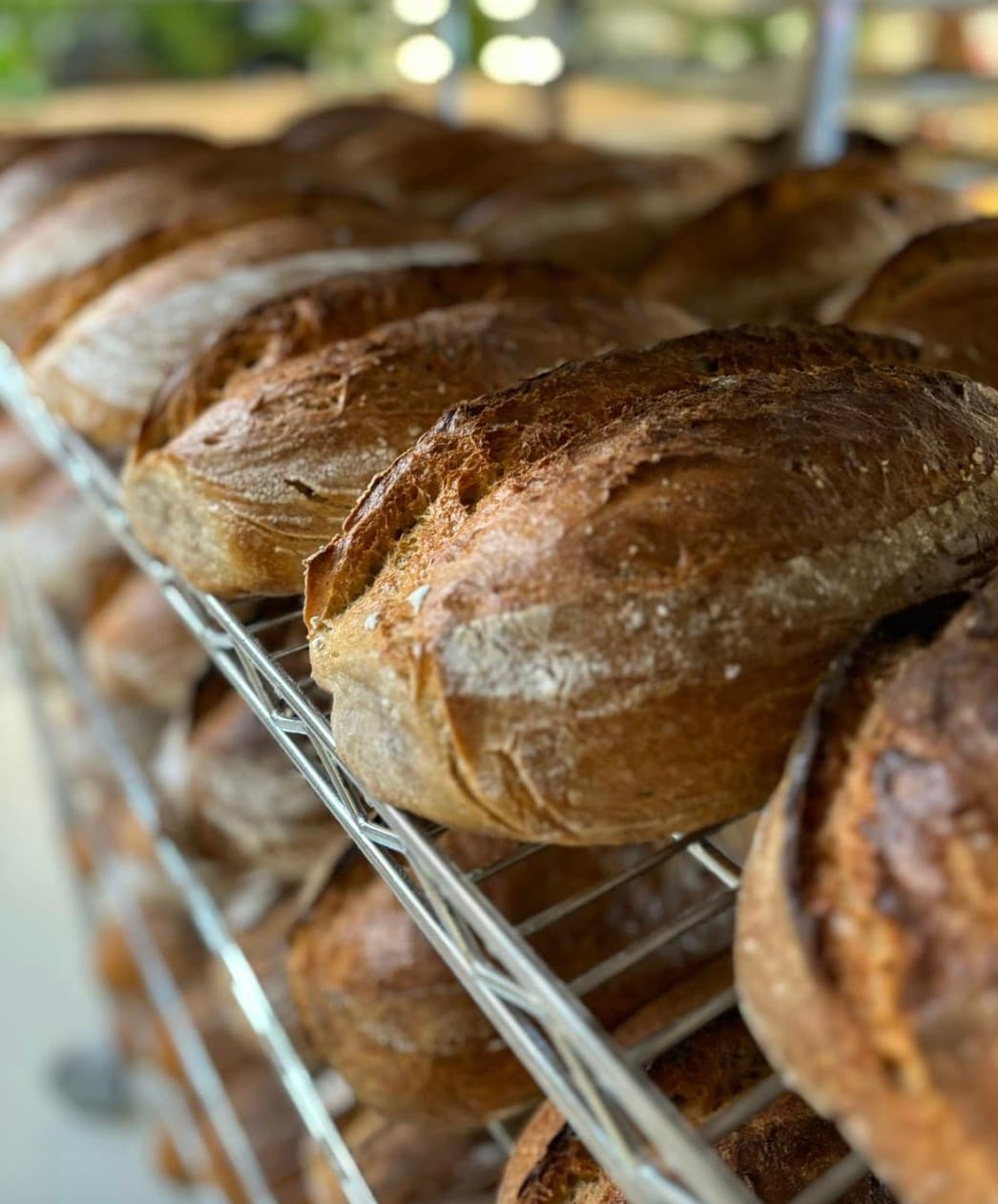 Čerstvé remeselné pečivo